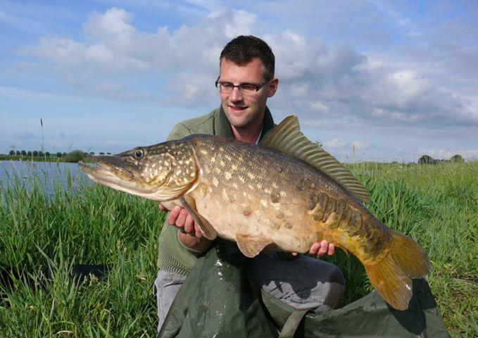 diverse adunate 2 - 318901402880776458318622933641n.jpg